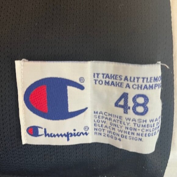 Vintage Dennis Rodman #91 Chicago Bulls Jersey – Champion – Size 48 (XL) – 90s A - Picture 3 of 4